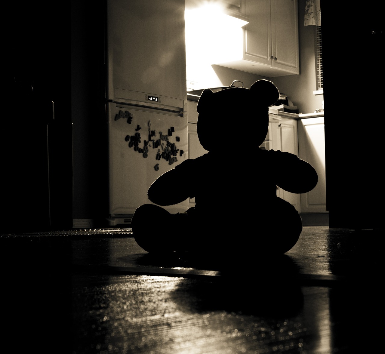 teddy bear silhouette evil night 440498