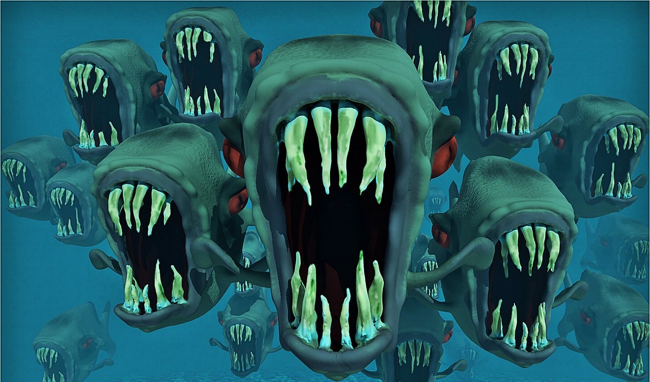 piranhas nightmare school of fish 123287
