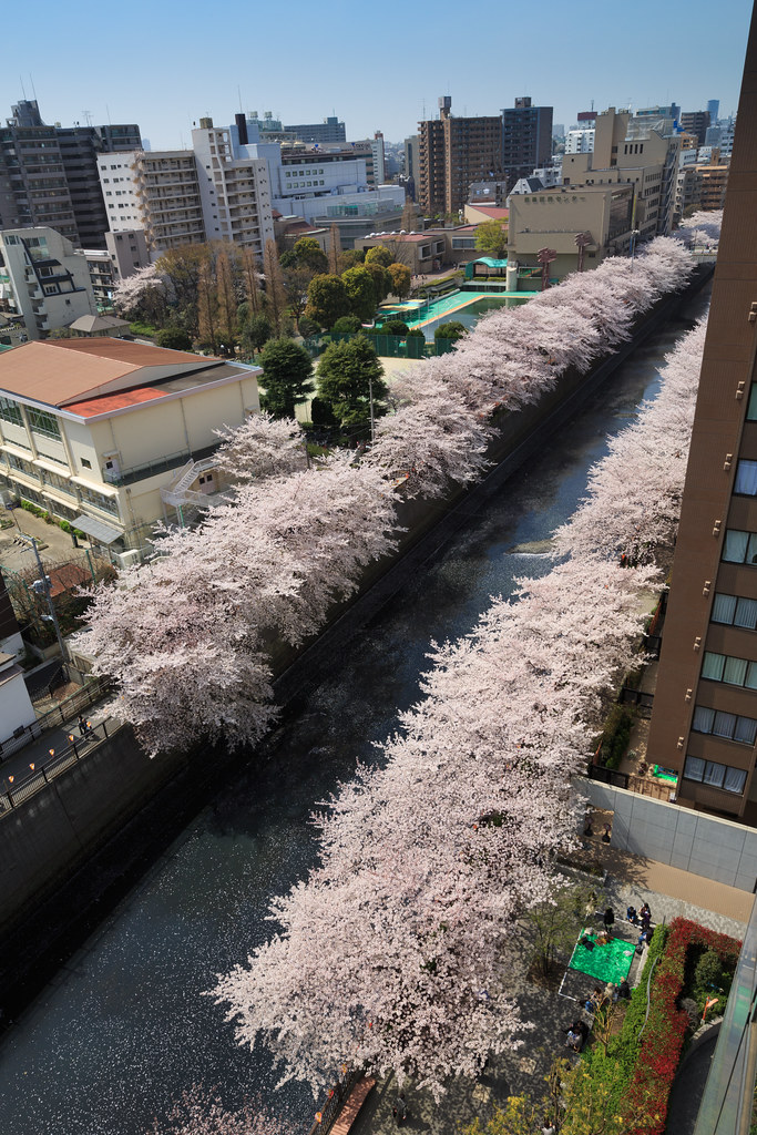 View of Meguro River