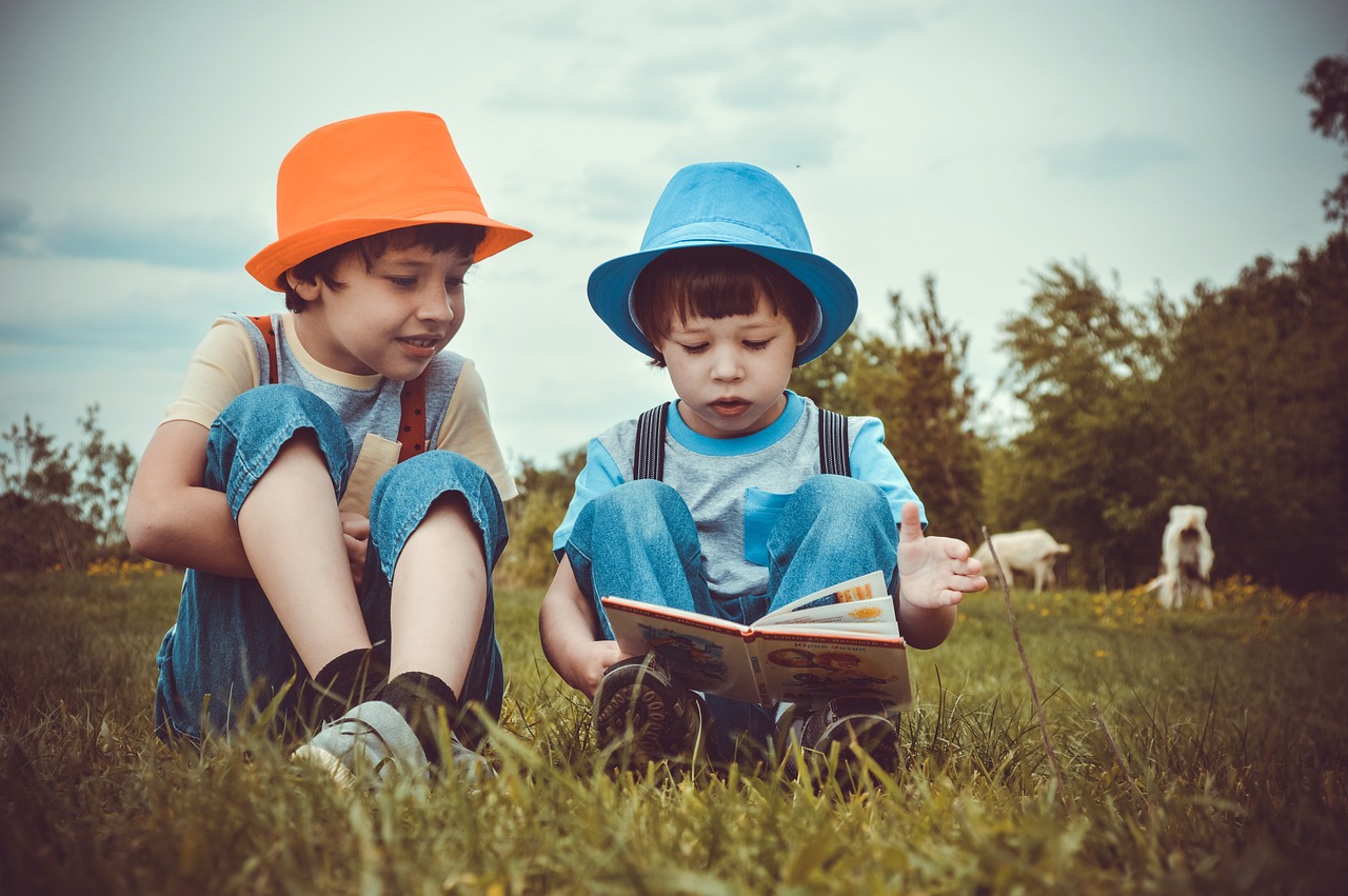 boys kids reading summer brothers 3396713